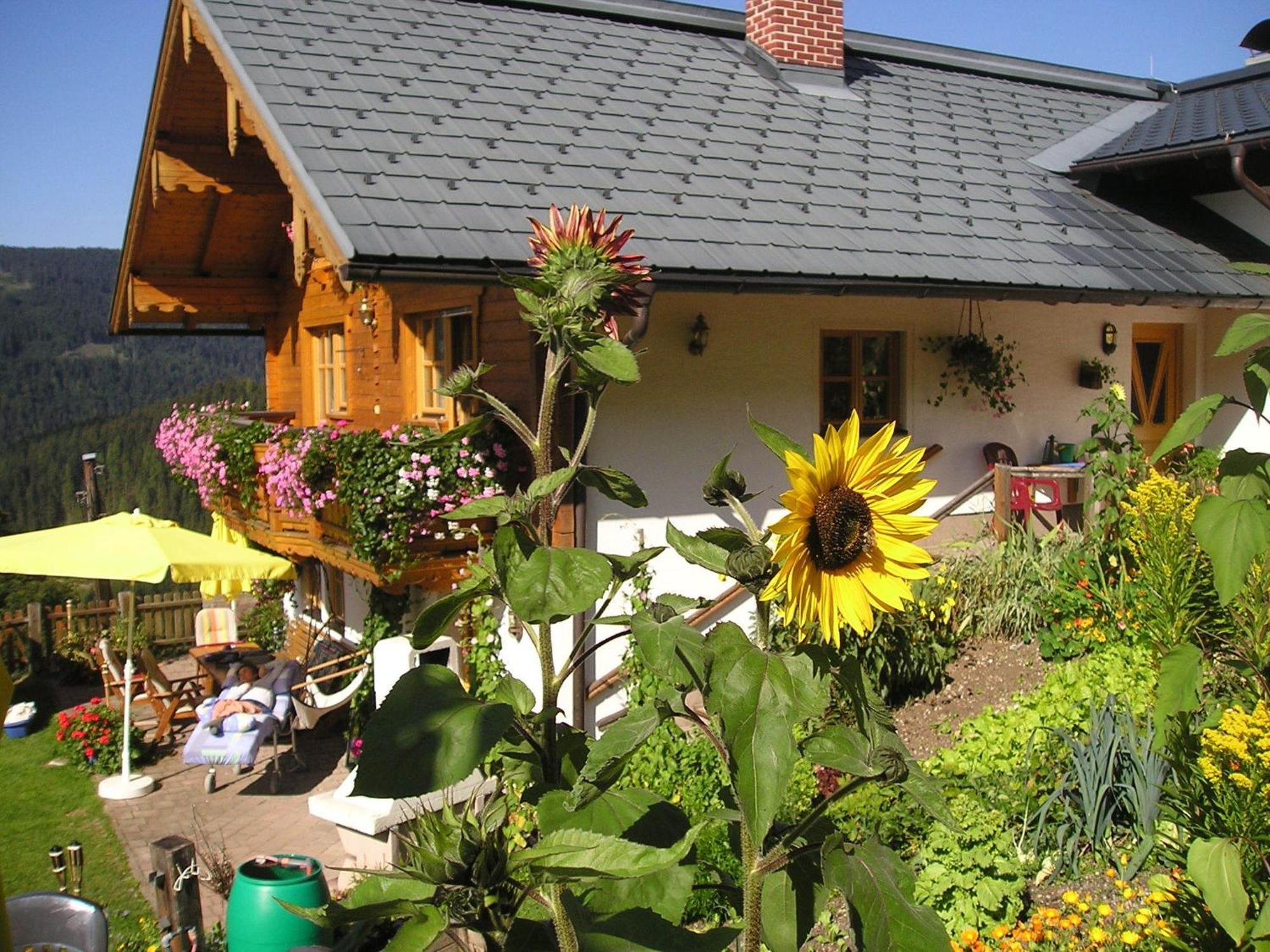 Hotel Fesengut Annaberg im Lammertal Exterior foto